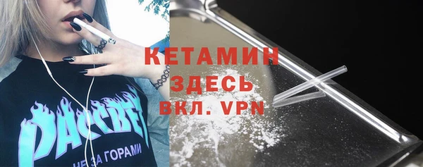 амф Гусев