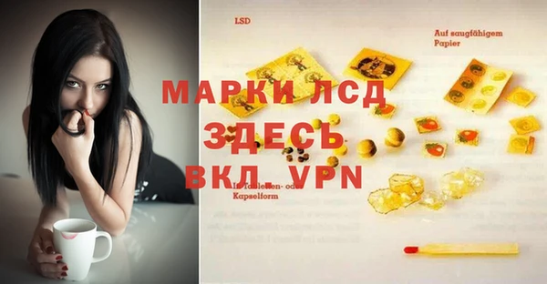 шишки Гусь-Хрустальный