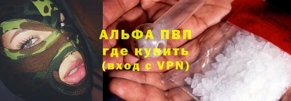 амф Гусев