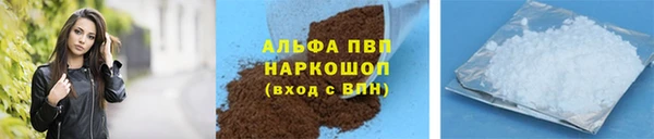 ECSTASY Вяземский