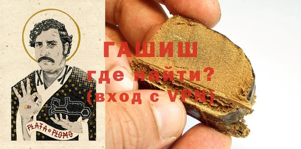 амф Гусев