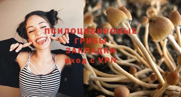 ECSTASY Вяземский