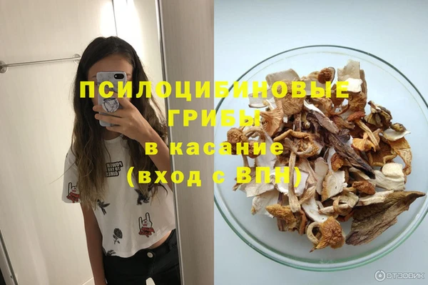 дмт Вязьма