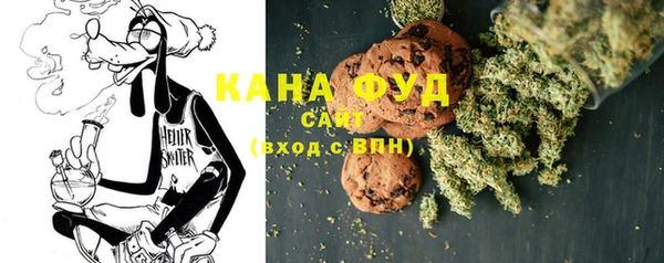 амф Гусев