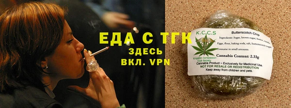 амф Гусев