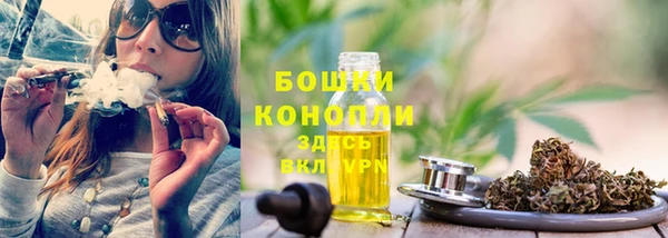 ECSTASY Вяземский